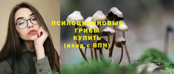 дурь Бабаево